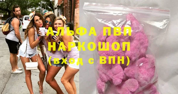 индика Богданович